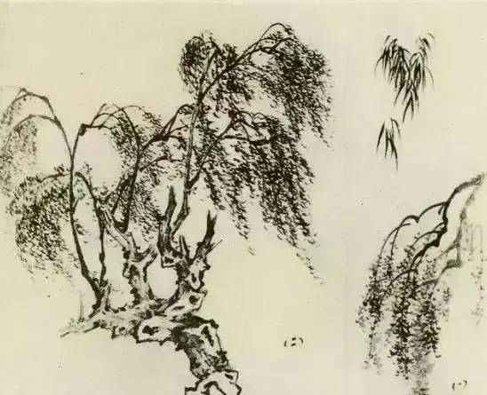 画法|缠枝、挺杆、屈节、钮裂、一棵树如何画？看了这篇你绝对能学会