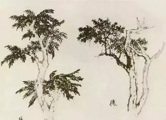 画法|缠枝、挺杆、屈节、钮裂、一棵树如何画？看了这篇你绝对能学会