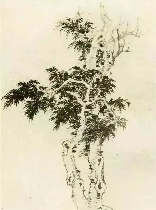 画法|缠枝、挺杆、屈节、钮裂、一棵树如何画？看了这篇你绝对能学会