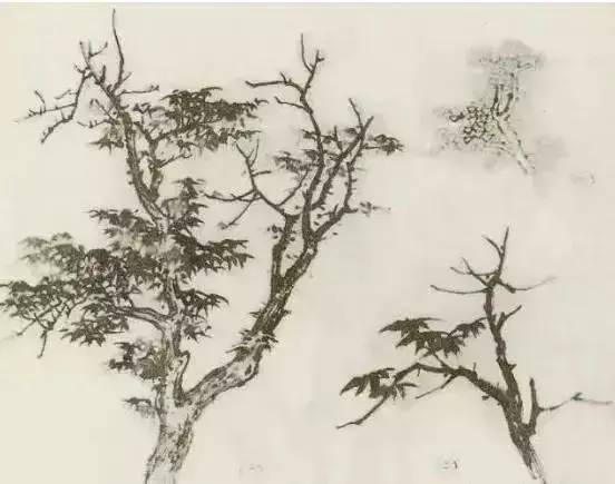 画法|缠枝、挺杆、屈节、钮裂、一棵树如何画？看了这篇你绝对能学会