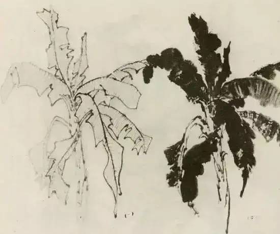 画法|缠枝、挺杆、屈节、钮裂、一棵树如何画？看了这篇你绝对能学会