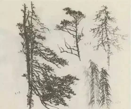 画法|缠枝、挺杆、屈节、钮裂、一棵树如何画？看了这篇你绝对能学会