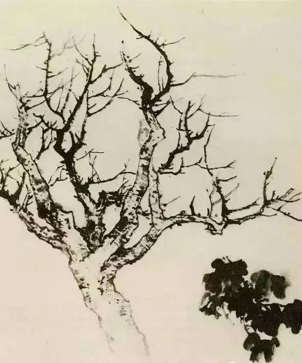 画法|缠枝、挺杆、屈节、钮裂、一棵树如何画？看了这篇你绝对能学会