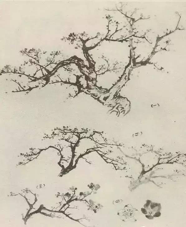 画法|缠枝、挺杆、屈节、钮裂、一棵树如何画？看了这篇你绝对能学会