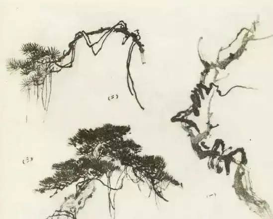 画法|缠枝、挺杆、屈节、钮裂、一棵树如何画？看了这篇你绝对能学会