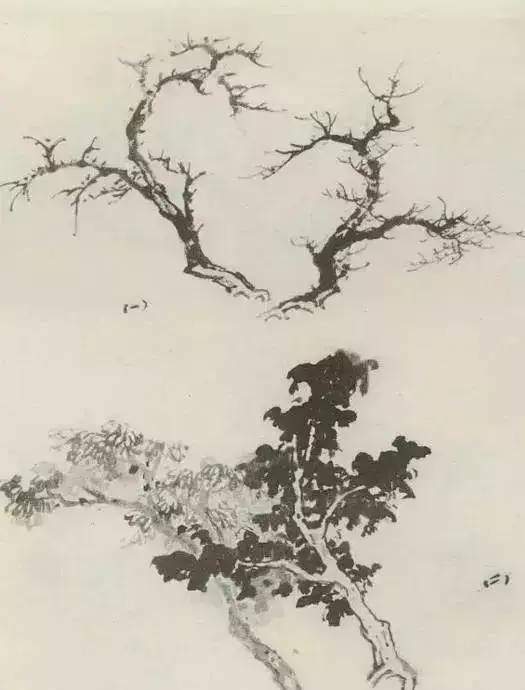 画法|缠枝、挺杆、屈节、钮裂、一棵树如何画？看了这篇你绝对能学会