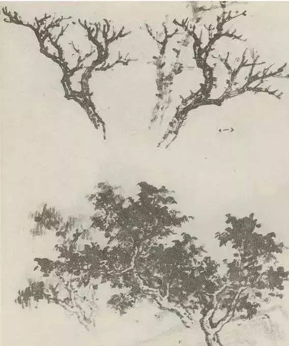 画法|缠枝、挺杆、屈节、钮裂、一棵树如何画？看了这篇你绝对能学会