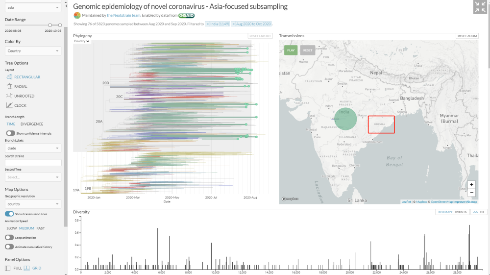 新冠病毒|多国发现新冠病毒变异毒株，意味着什么？