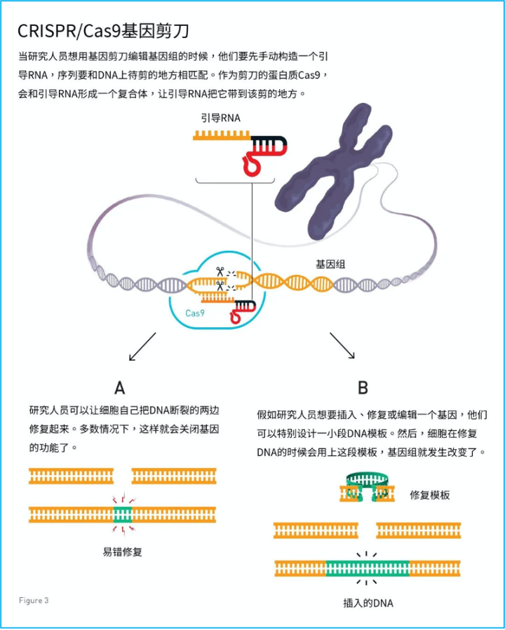 两次错过诺奖级发现 但这位科学家说他并不后悔