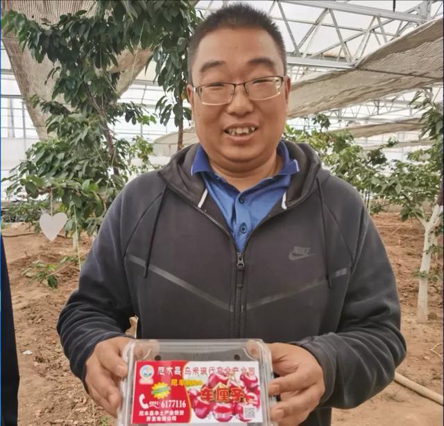 车厘子|草都不长的土地，结出车厘子