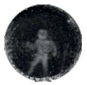 海豚|科学家们破译了海豚的“语言”？以后人类说不定真能和海豚聊天