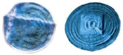 海豚|科学家们破译了海豚的“语言”？以后人类说不定真能和海豚聊天