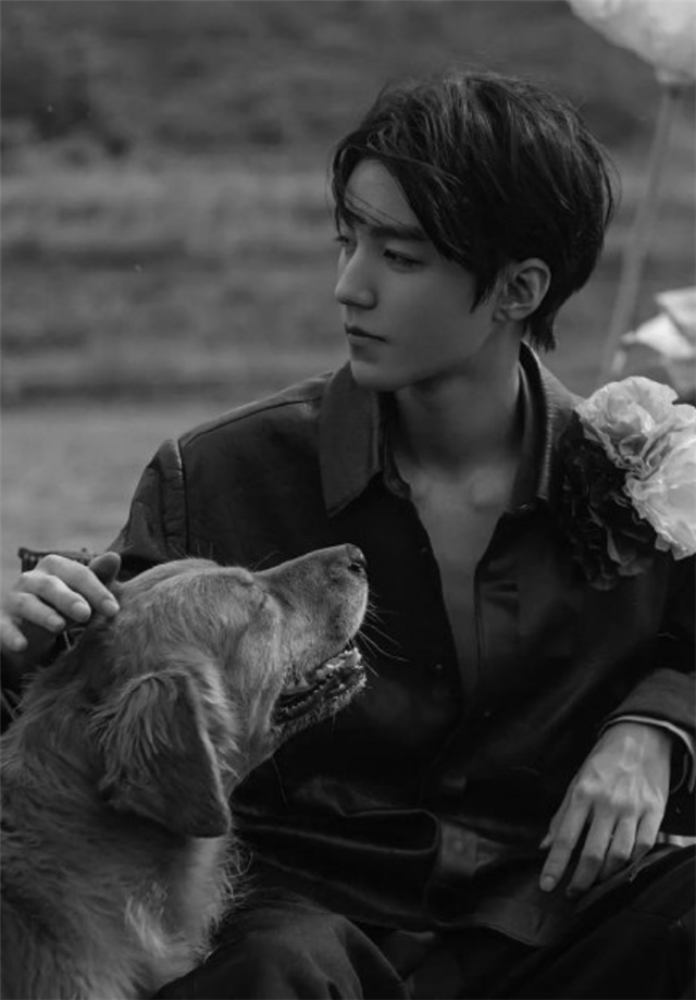 王俊凯|王俊凯被网友质疑整容，他高情商回应：瘦身效果明显