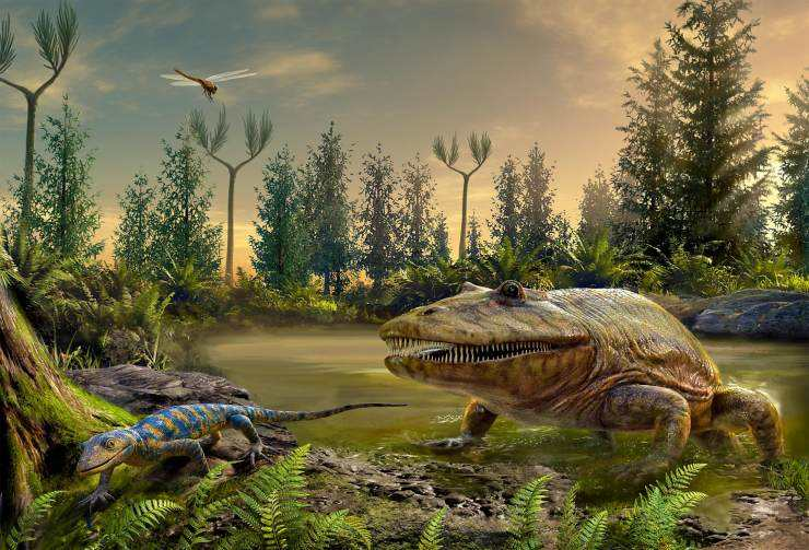 星球|科学家发现比地球更宜居的星球，可惜人类永远无法到达