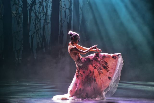 杨丽萍绝美舞台进入美术馆 昆明人周末有去处了 杨丽萍 云南映像 孔雀