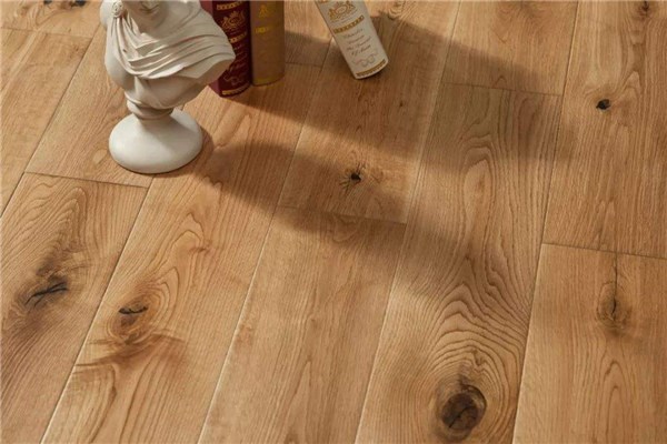 如何清理木地板上的毛发