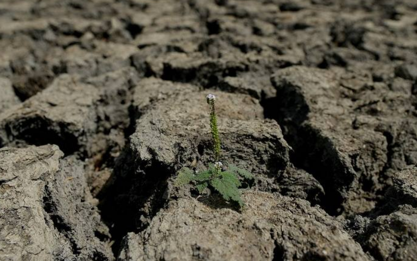地球|科学家再次警告：地球气候出现两极分化！南方多雨，北方更干旱！