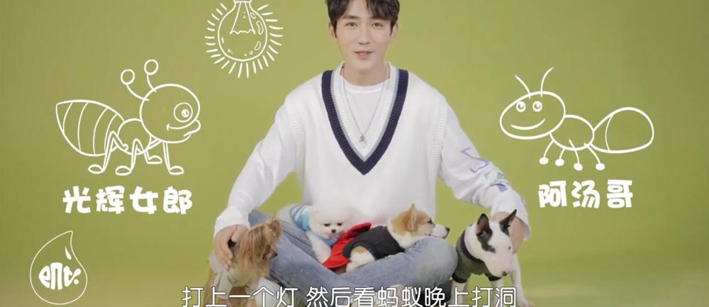 朱一龙|朱一龙隐婚风波后被扒在片场说“我跟谁生”惊呆童瑶，称女粉为后宫佳丽