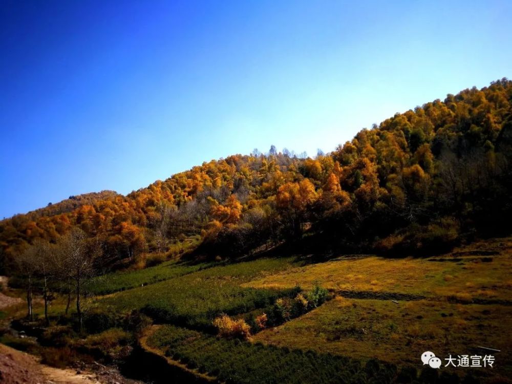 大通朔北乡道人沟秋景美如画