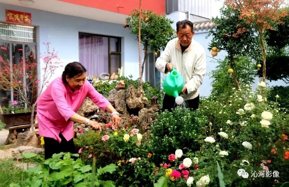 绘画艺术|绘画，宁静典雅的古稀之年！