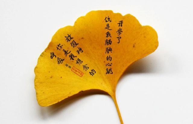 银杏树叶书法没有人知道这位充满李清照式情怀的女大学生叫什么,她在