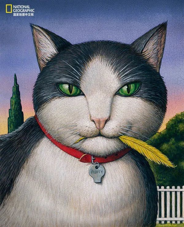 猫咪|猫咪一年能残杀多少只小动物？