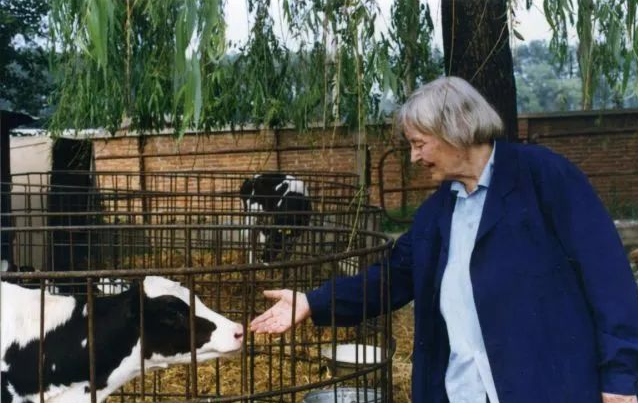 美国_军事|她是杨振宁师姐，美国核武器专家，却从美国跑到中国当“牛场饲养员”