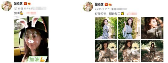 张柏芝|张柏芝的脸，才是她离经叛道的资本