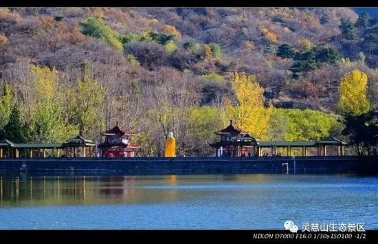 北京怀柔|北京怀柔灵慧山色彩斑斓“韵”深秋
