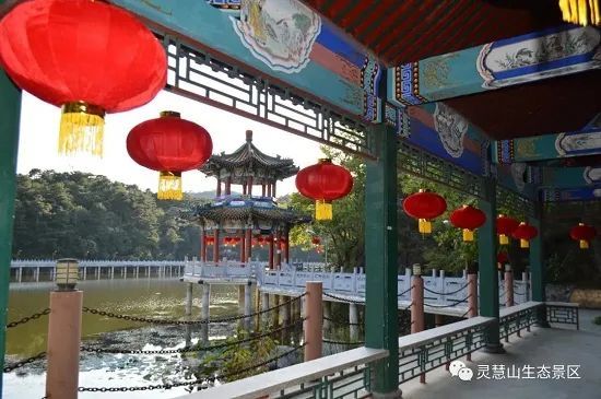 北京怀柔|北京怀柔灵慧山色彩斑斓“韵”深秋