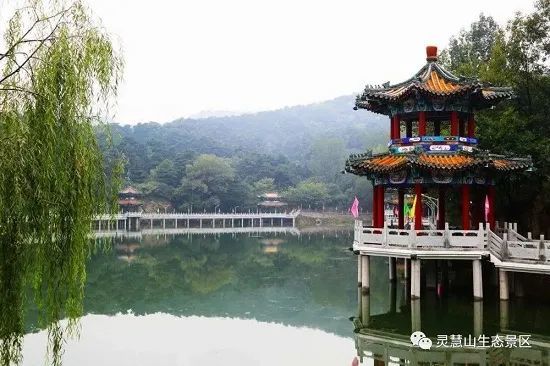 北京怀柔|北京怀柔灵慧山色彩斑斓“韵”深秋