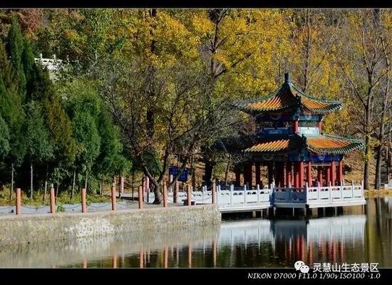 北京怀柔|北京怀柔灵慧山色彩斑斓“韵”深秋