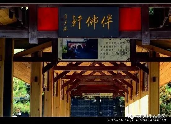 北京怀柔|北京怀柔灵慧山色彩斑斓“韵”深秋