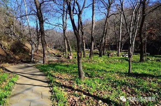 北京怀柔|北京怀柔灵慧山色彩斑斓“韵”深秋