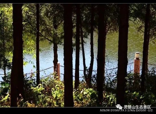 北京怀柔|北京怀柔灵慧山色彩斑斓“韵”深秋