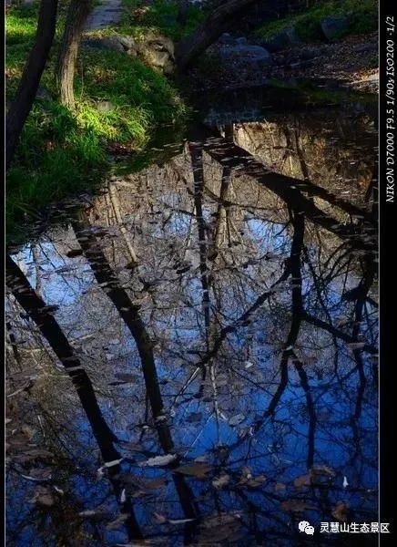 北京怀柔|北京怀柔灵慧山色彩斑斓“韵”深秋