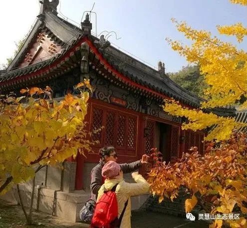 北京怀柔|北京怀柔灵慧山色彩斑斓“韵”深秋