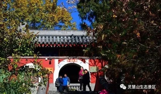 北京怀柔|北京怀柔灵慧山色彩斑斓“韵”深秋