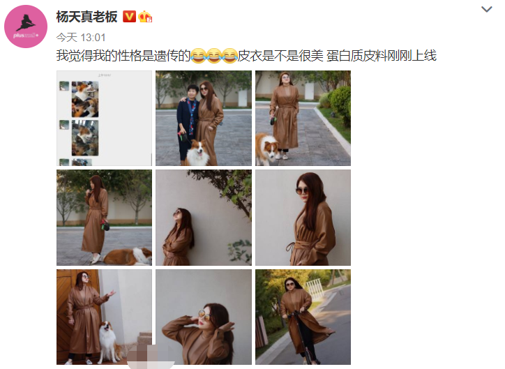 杨天真|杨天真再录新节目，爆料嘉宾相爱相杀兄弟情，网友：怎么哪都有她