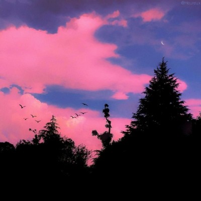 有没有超级仙气的朋友圈文案