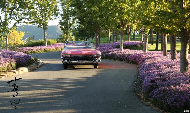 郭采洁|年龄差38岁！张震父亲和郭采洁演情侣，10克拉钻戒能买到爱情吗？