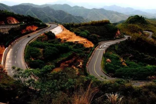 宁波最美自驾公路图片
