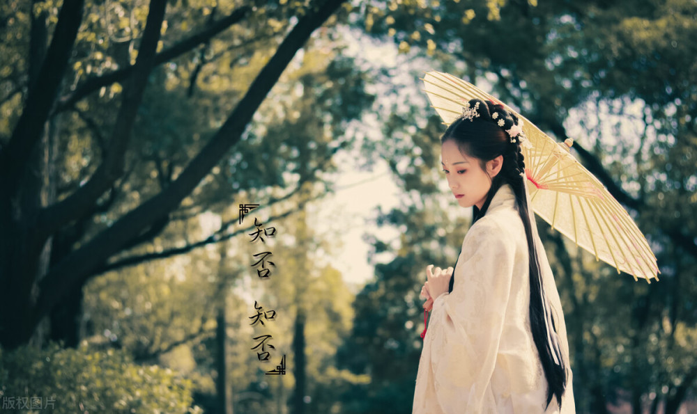 陈政良|一卷诗书相伴，几度黄昏闲看