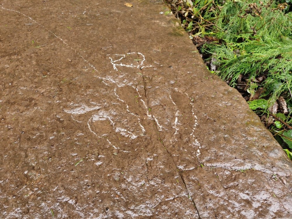 恐龙|专家解析5岁萌娃发现恐龙足迹：初步判断为1.3亿年前恐龙足迹