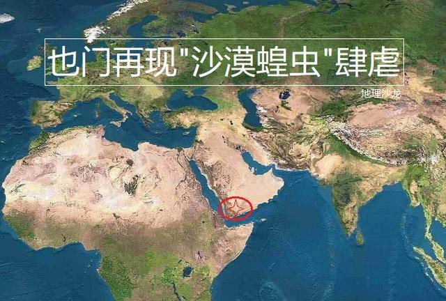 沙漠蝗虫|西亚阿拉伯半岛南部地区再现蝗虫肆虐，沙漠蝗虫会不会卷土重来？