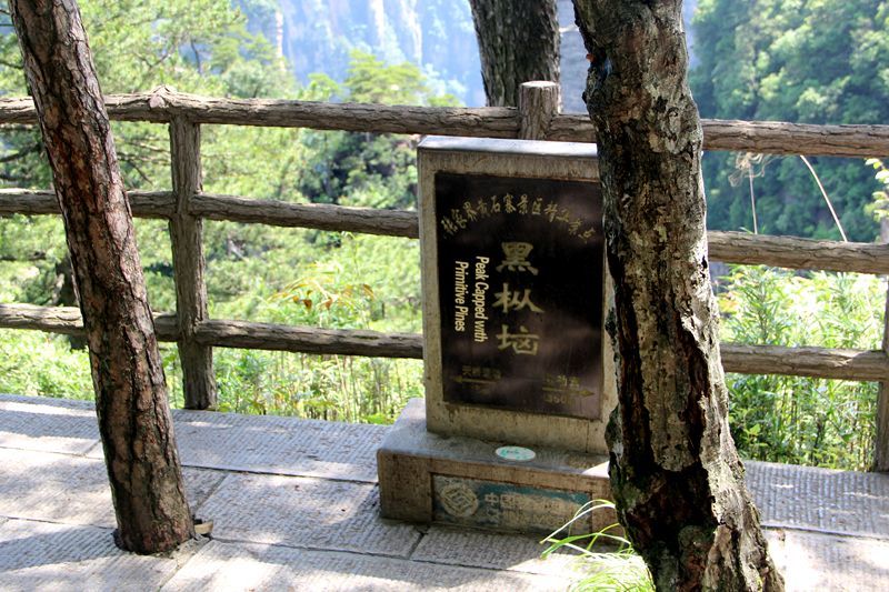 湖南张家界有一块神秘禁地黑枞垴至今依然是游客禁区