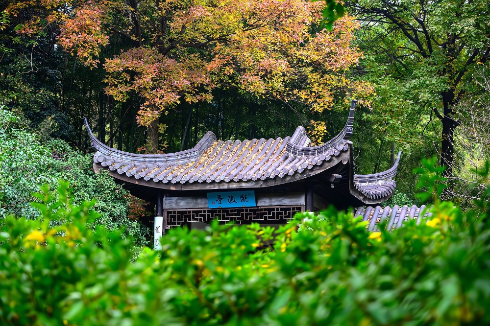 无锡惠山古镇藏着一处秘境，秋天赏枫好去处。