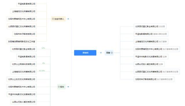 贾樟柯|拿日本人钱，用中国老婆当女主角，拍法国人爱看的电影？