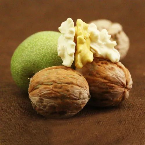 新鲜核桃到底有多好吃?