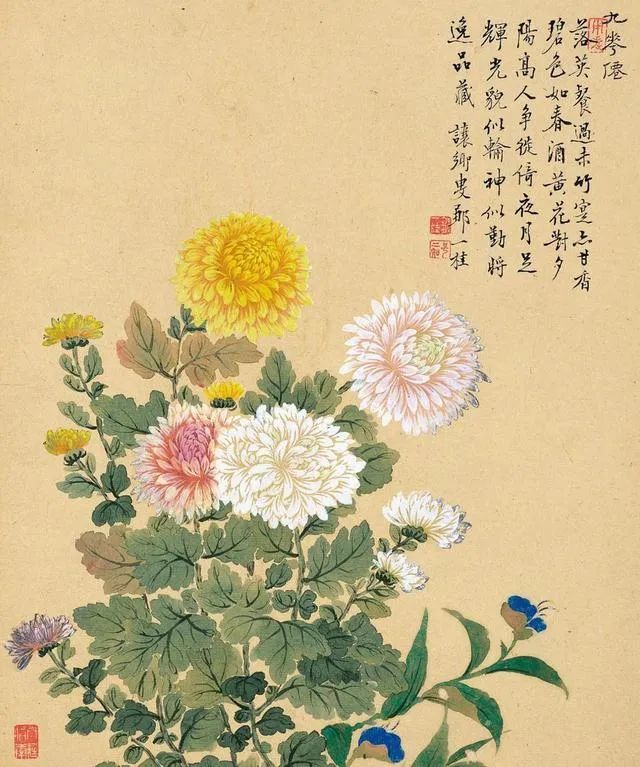 清代这位画家为画花卉 亲自培植了百余种花卉 邹一桂 画家 恽寿平 绘画